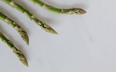 What is asparagus officinalis plant?