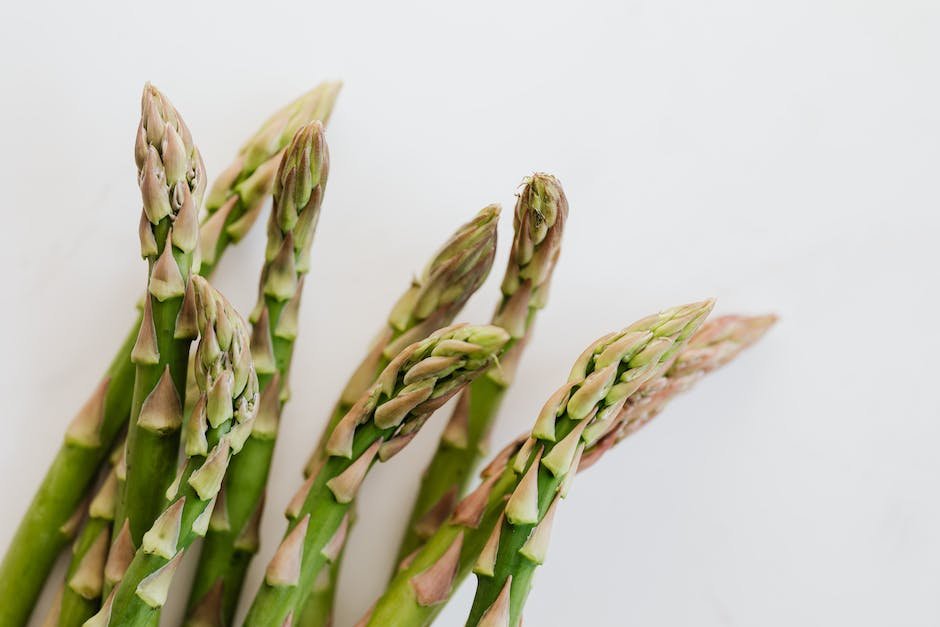 What is Asparagus Officinalis Plant_2