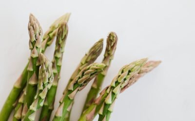 What is asparagus plant?