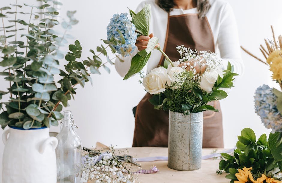 What is Bloomstruck Hydrangea Plant_2