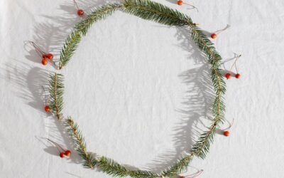 What is bridal wreath spirea plant?