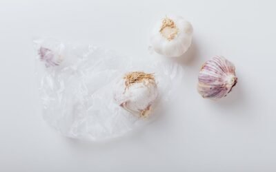 What is garlic plant?