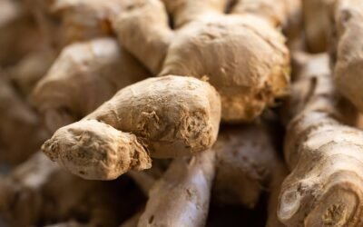 What is ginger root plant?