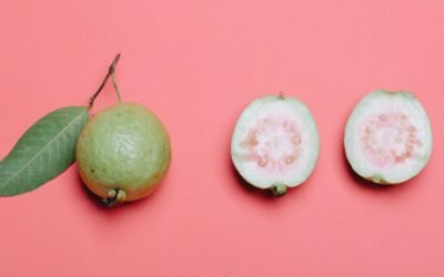 What is guava plant?