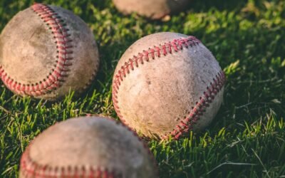 What is baseball plant?
