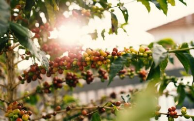 What is cornelian cherry dogwood plant?