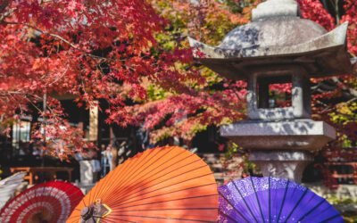 What is Japanese Maple Bonsai Plant