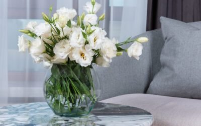 What is Lisianthus Plant