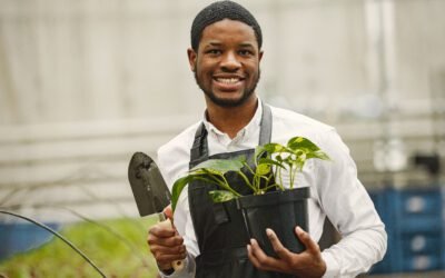 What is Pothos Plant