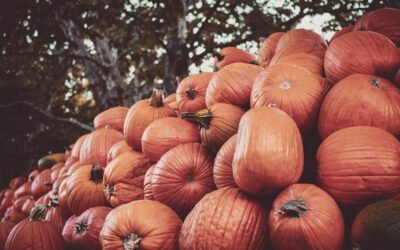 What is pumpkins Plant